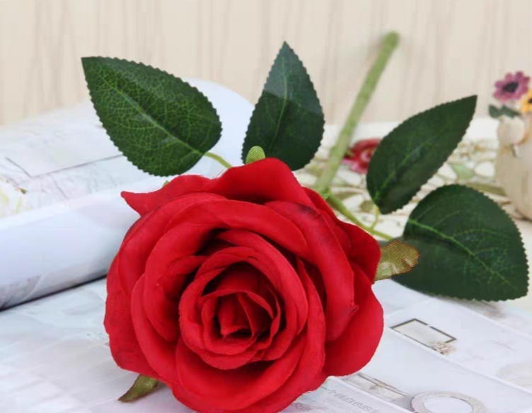 买一朵玫瑰花送女朋友可以吗？