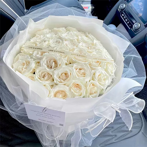 白玫瑰送女朋友合适吗?