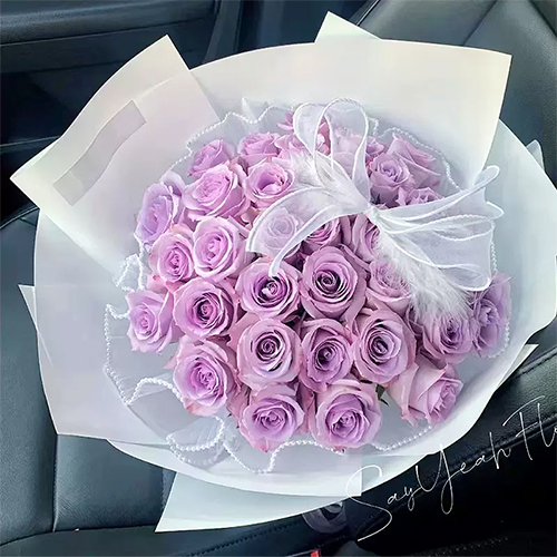 33朵紫玫瑰
