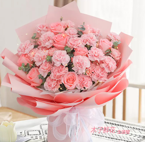 33朵粉色康乃馨搭配粉玫瑰