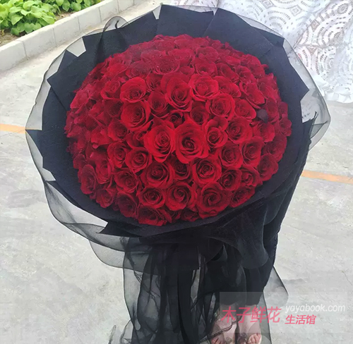 红玫瑰用黑纱包裹好吗?